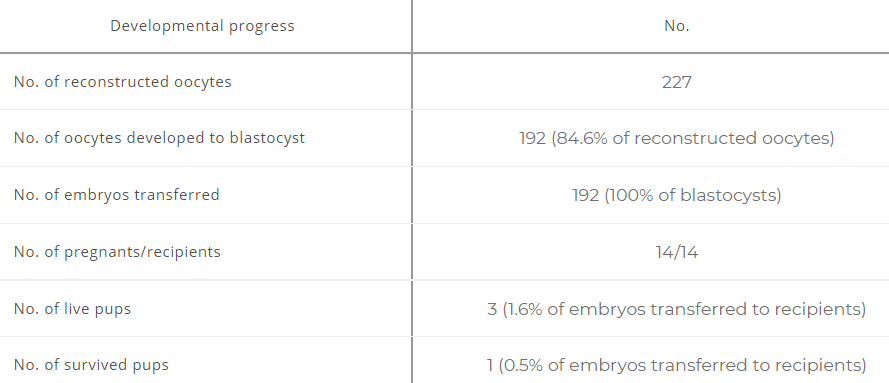 Viable Offspring Derived From Single Unfertilized Mammalian Oocytes