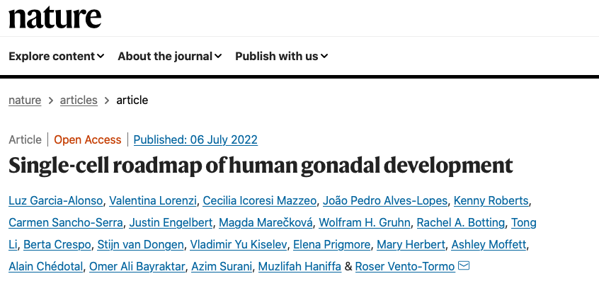 Single-cell roadmap of human gonadal development