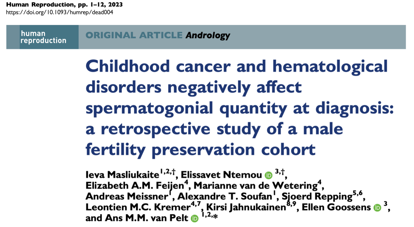 Childhood cancer and hematological disorders negatively affect spermatogonial quantity at diagnosis: a retrospective study of a male fertility preservation cohort