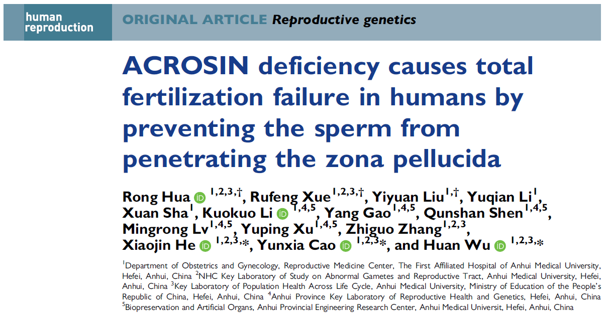 ACROSIN deficiency identified as a cause of total fertilization failure and thus, male infertility in humans